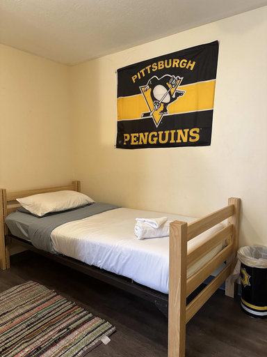 Bedroom 2, Darling Downtown Delightful Entire Efficiency APT, Allegheny