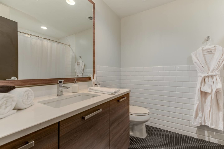 Bathroom, Brand New Stunning Unit Downtown, Dallas