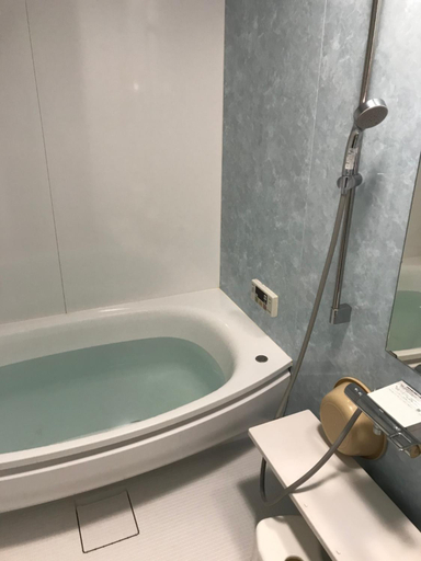 Bathroom 3, Pension Niimi, Karuizawa