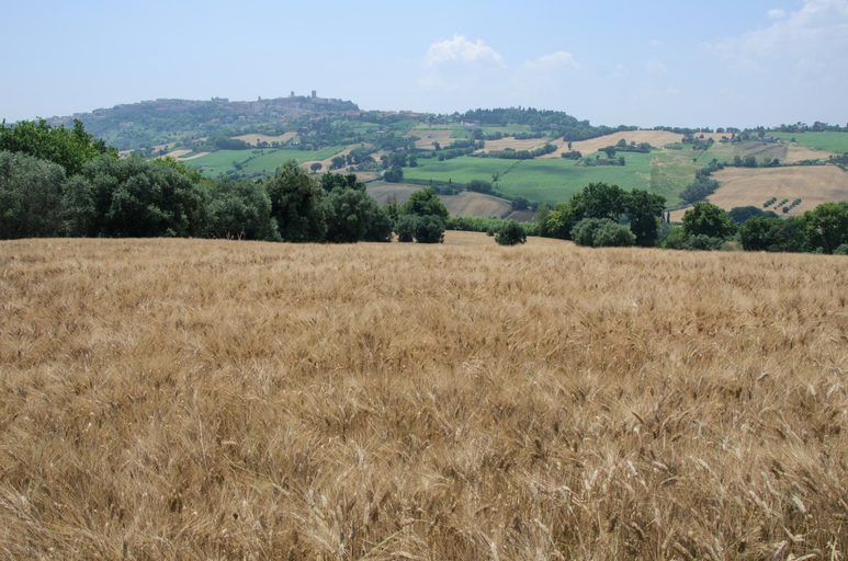 Others 4, Agriturismo Azzurro, Ancona