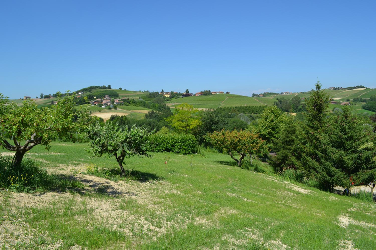 Others 5, La Cascina dei Banditi, Asti