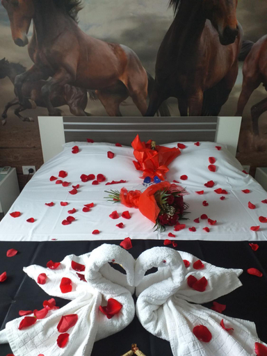 Others 4, Hotel Hobby, Hunedoara