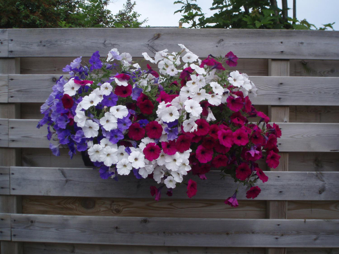 Others 4, B&B Fam. Tavenier, Veere