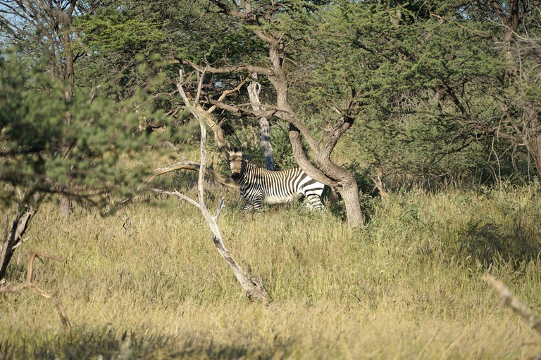 Others 3, Roidina Safari Lodge, Omaruru