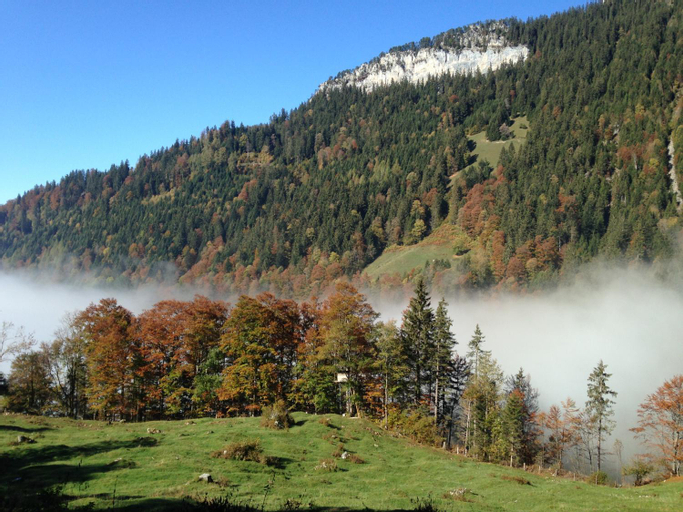 Exterior & Views 5, Swiss Seeblick Apartment mit Hotelanbindung, Interlaken