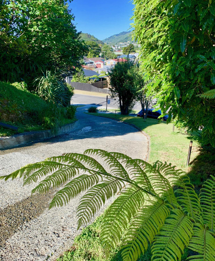Others 4, Koru Havenz, Marlborough