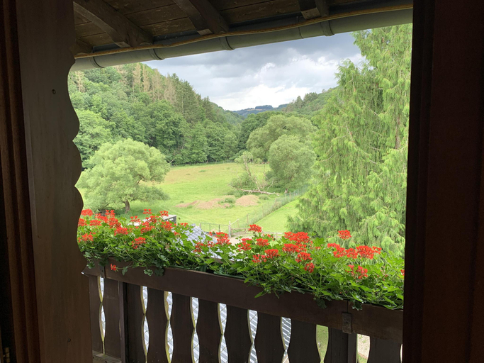 Scenery 13