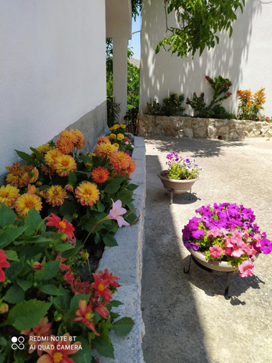 Others 5, B&B Troisi, Agrigento
