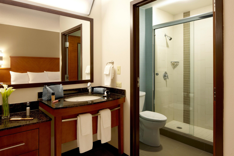 Bathroom 5, Hyatt Place Atlanta Downtown, Atlanta