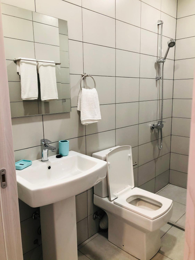 Bathroom 5, Citro Villa, Batumi