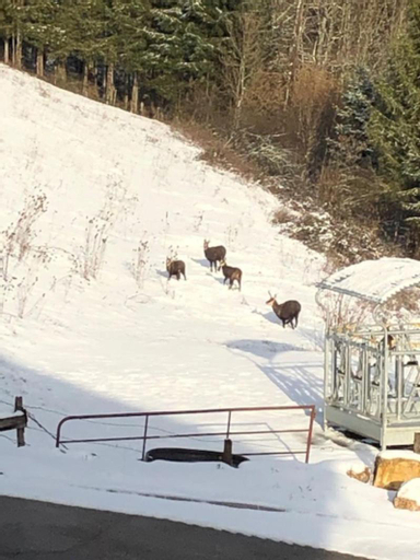 Others 4, La Guillemette, Doubs