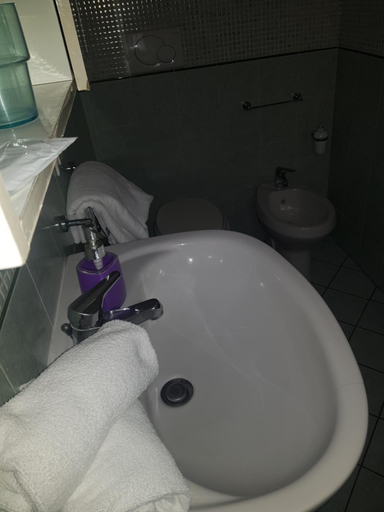 Bathroom 5, Alenic, Roma