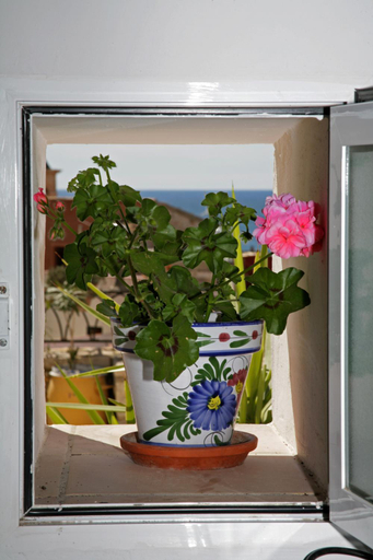 Food & Drinks, Cueva con Vista, Alicante