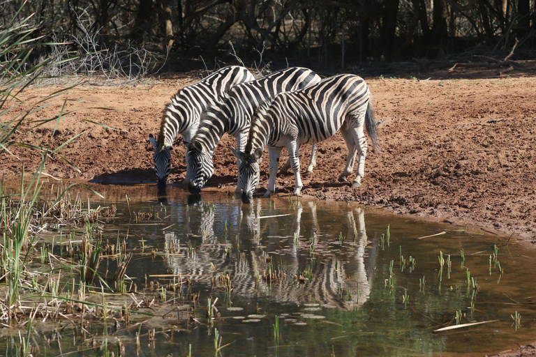 Others 5, Bushbaby Lodge & Camping, Umkhanyakude
