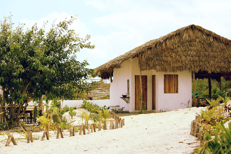 Others 5, Eco Kite Dunas, Cruz