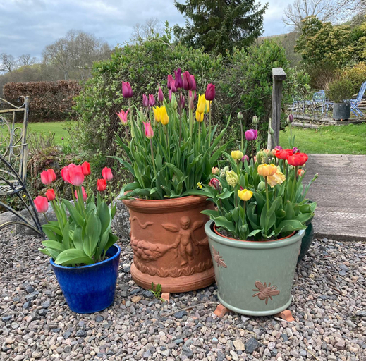 Others 4, Bedrule Old Manse B&B, Scottish Borders