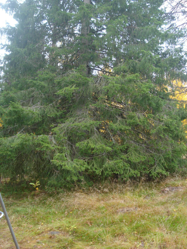 Others 5, Hakamajat Cottages, Northern Ostrobothnia