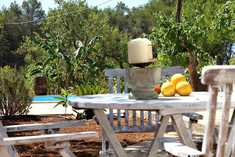 Others 2, Agroturismo Casa Morna Ibiza, Baleares