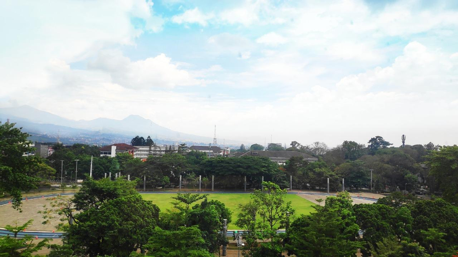 Scenery