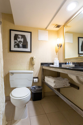 Bathroom 4, Comfort Inn & Suites Baltimore Inner Harbor, Baltimore