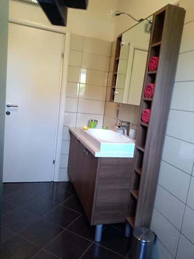 Bathroom 3, Apartment Izabela, Poreč