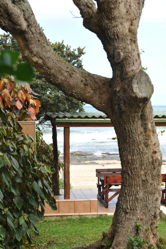 Others 5, Shore Breakers, Ugu