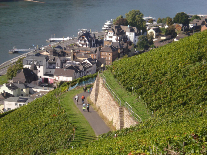 Others 3, Hotel Gasthof Schuster und Gastehaus, Rheingau-Taunus-Kreis