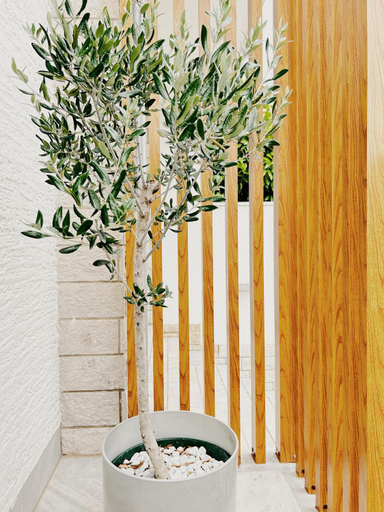 Others 5, Sunny House, Umag