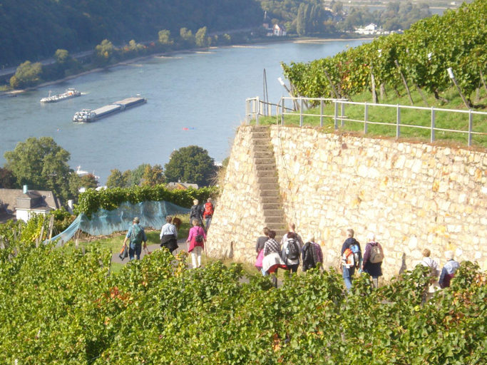 Others 4, Hotel Gasthof Schuster und Gastehaus, Rheingau-Taunus-Kreis