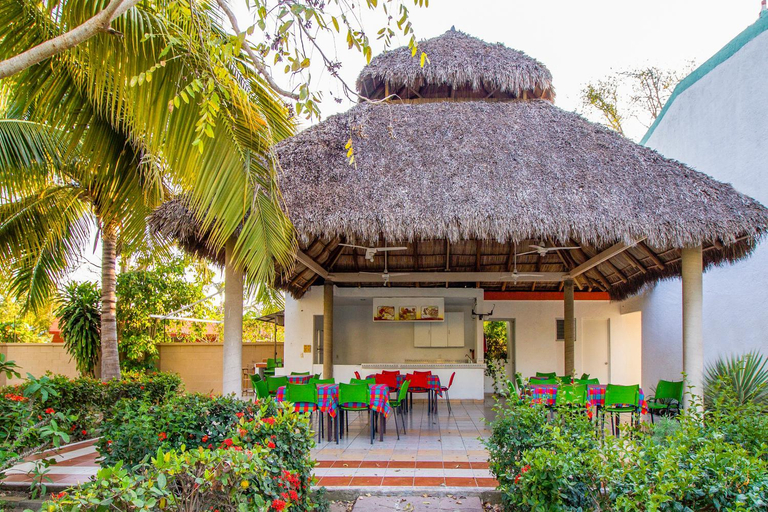 Food & Drinks 5, Hotel Parotas, Manzanillo