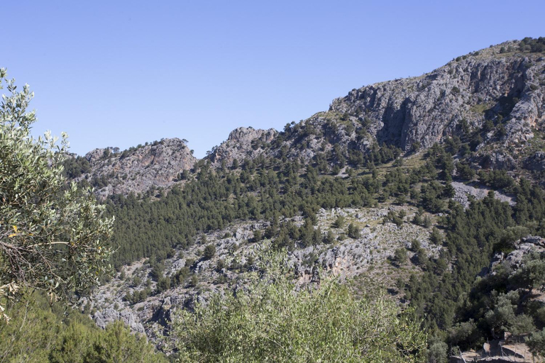 Others 4, Villa Es Coco, Soller, Baleares