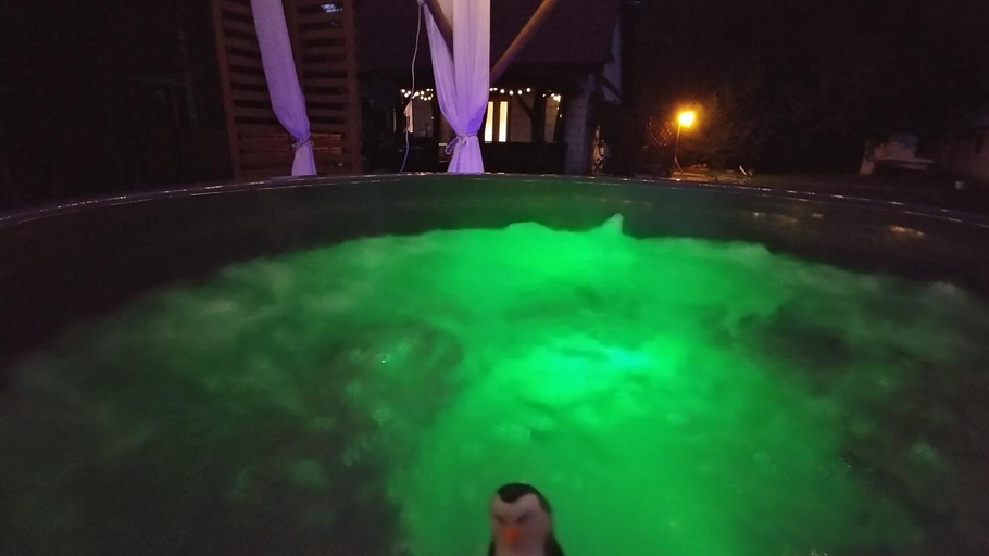 Others 2, Ranczo w lesie - domki z jacuzzi, Ostrowiec