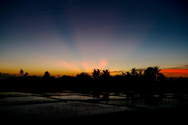 Others 4, SAMSARA VILLA 4 BD (8 pax), Tabanan