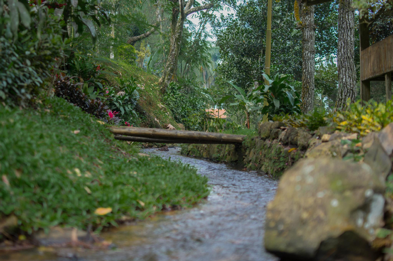 Scenery 16