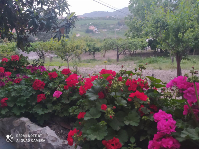 Others 5, B&B Troisi, Agrigento
