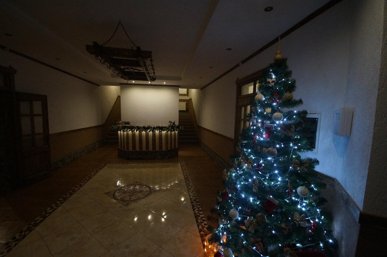 Public Area, Dacha, Rakhivs'kyi