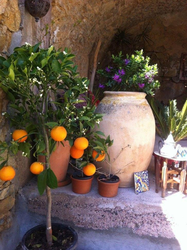 Others 3, Chez Caro, Haute-Corse