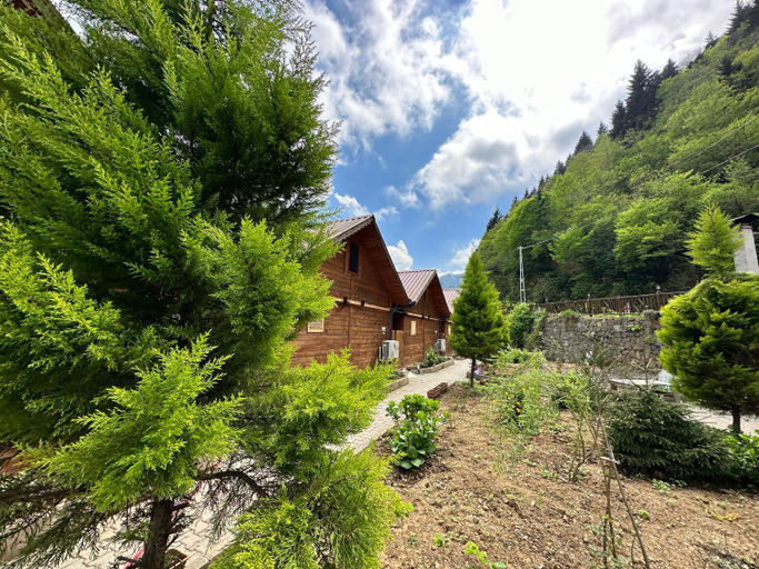Exterior & Views 1, TUVA VILLA Bungalov, Çamlıhemşin