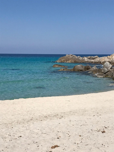Others 5, Au pied des oliviers, Haute-Corse