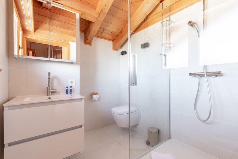 Others 4, Chalet Mouettes, Martigny