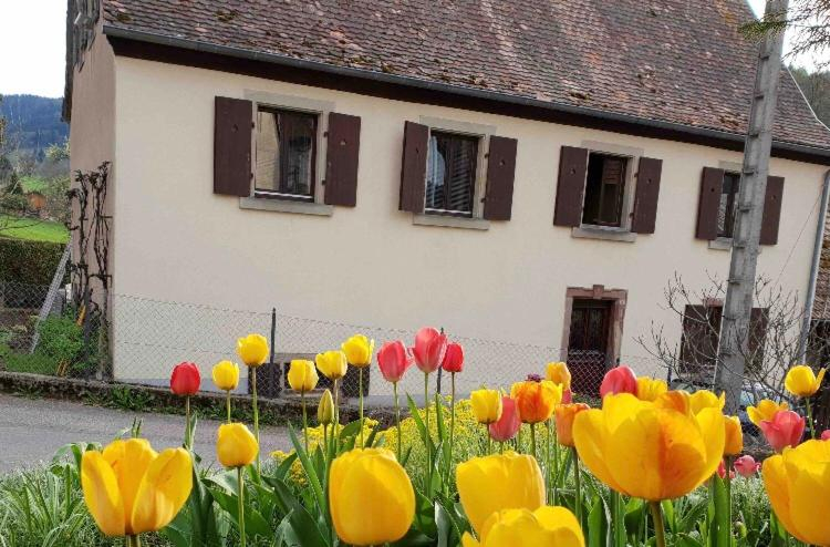 Petit week end dans la vallee, Haut-Rhin