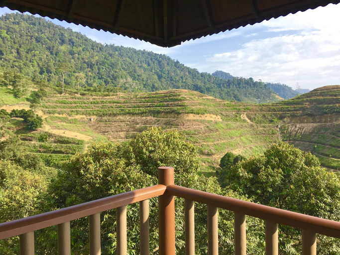 Scenery 11