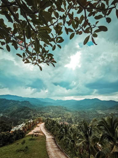 Scenery 8