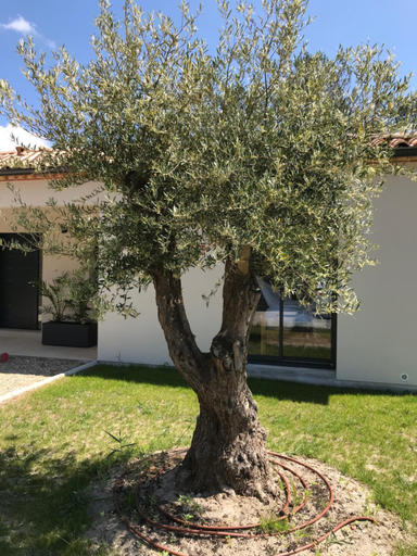Others 3, Location villa entre lac et ocean avec son spa de nage, Gironde