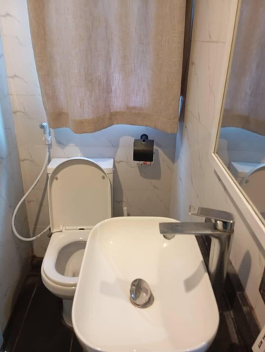 Bathroom, Ryan Hotel and Suites Limited, Abakalik
