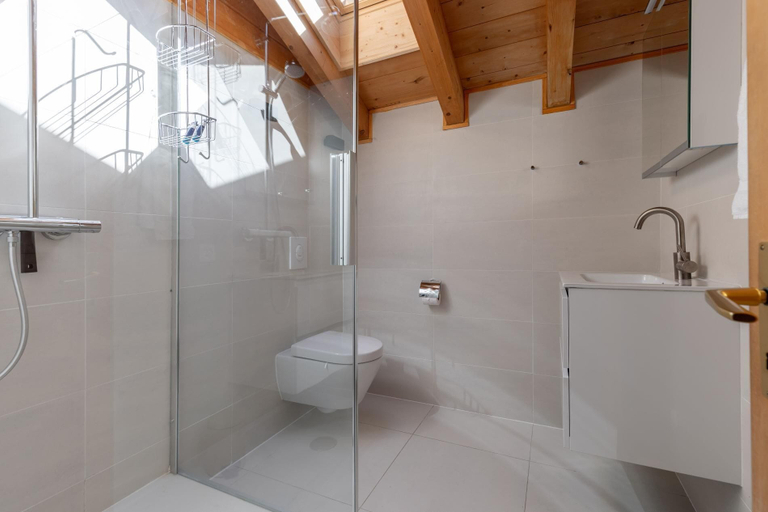Others 3, Chalet Mouettes, Martigny