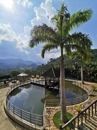 Swimming Pool 7