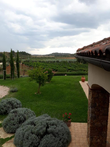 Others 5, B&B Il Giardino, Grosseto
