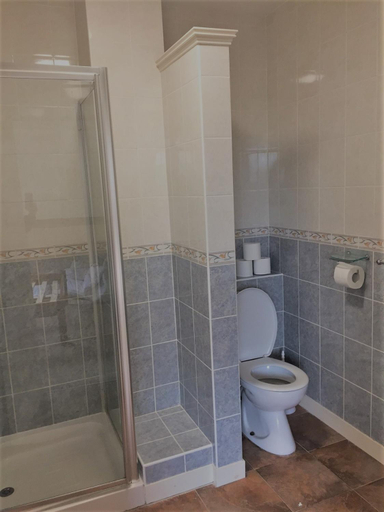 Bathroom 3, Neuadd Henllan Lodge, Powys