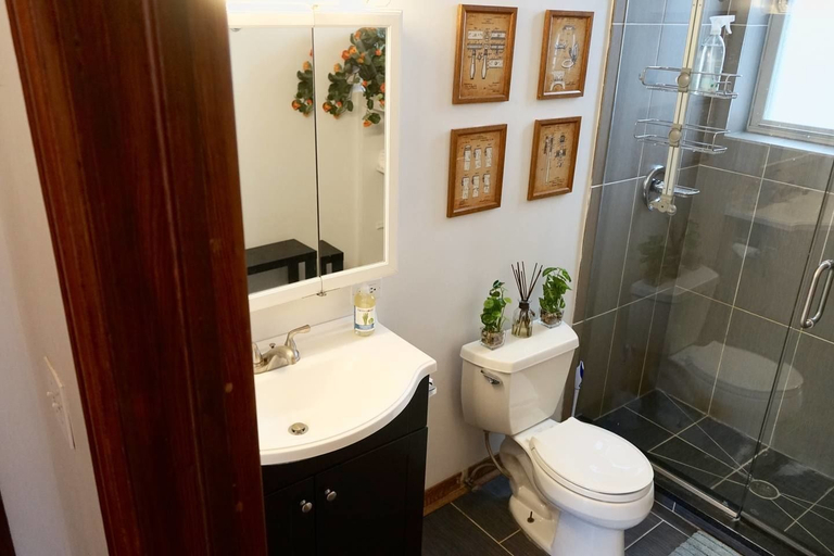 Bathroom, Light-filled Chicago Charmer in Wicker Park, Cook